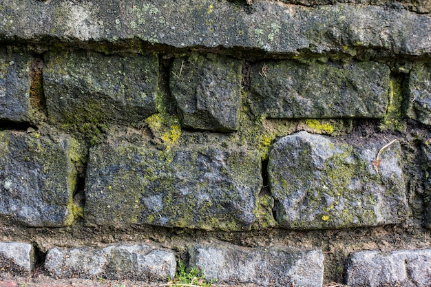 Piedras con fondo de textura de musgo