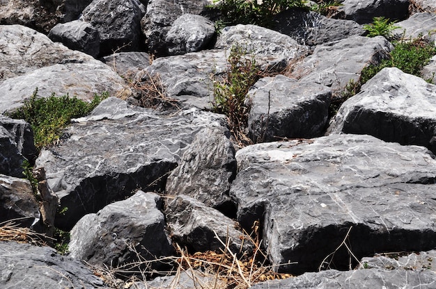 Piedras grandes con césped en el medio. Fondo, textura, piedras grises con hierba.