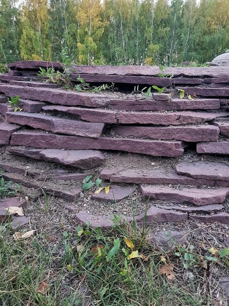 Piedras grandes o rocas con plantas verdes en crecimiento, fondo texturizado o papel tapiz