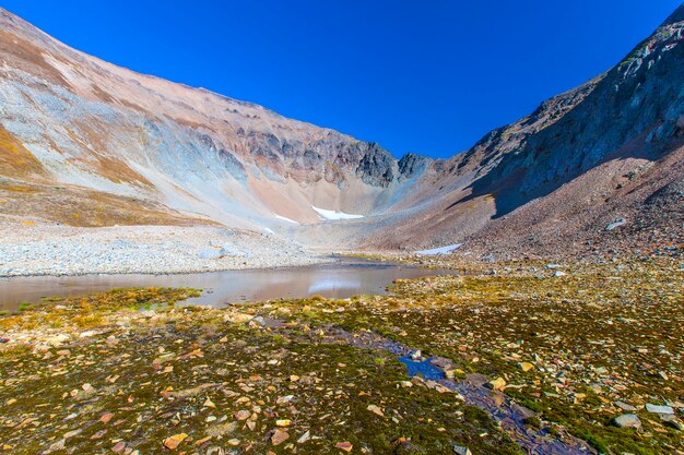 Las piedras en la hierba en un volcán.