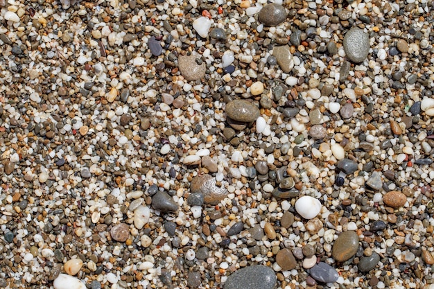 Las piedras húmedas ovaladas en la playa de guijarros de primer plano multicolor