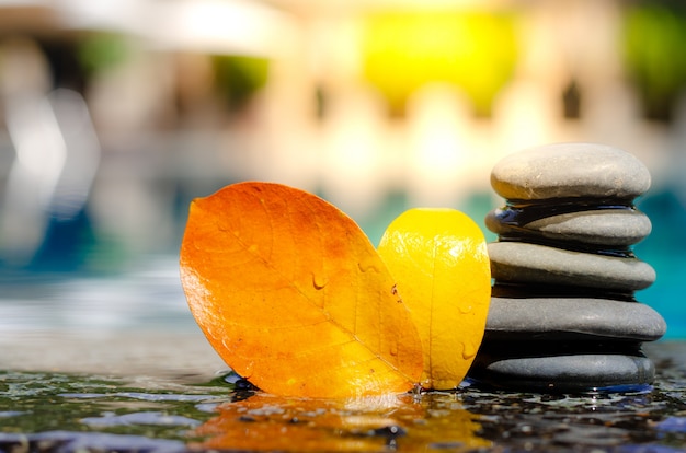 Foto piedras de líneas y hojas de naranja para regar, seleccionar foco.