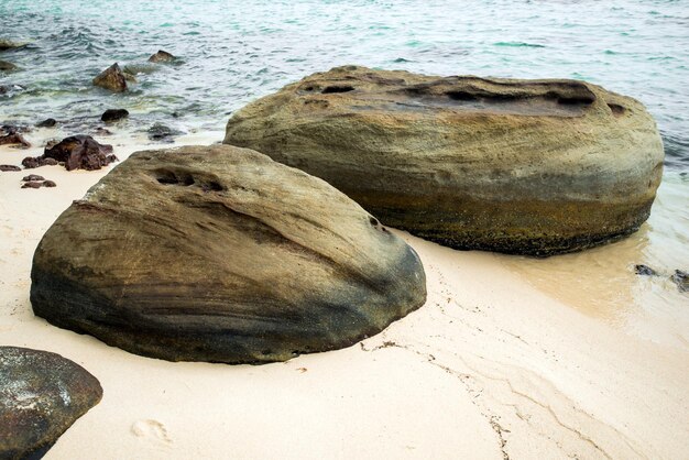 Piedras marinas y minimalismo en la naturaleza.