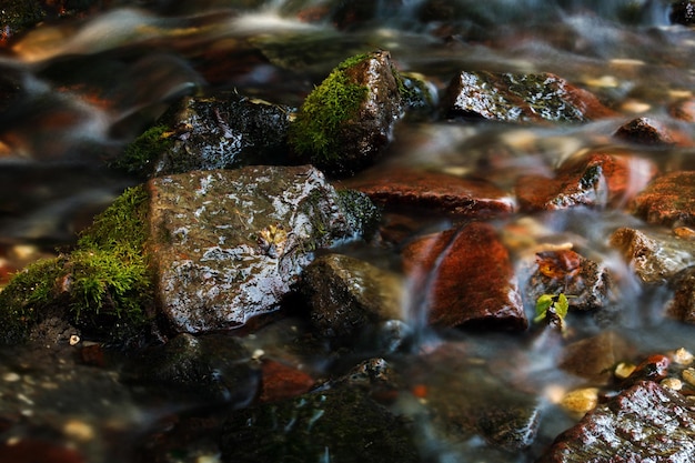 Piedras mojadas en el agua del arroyo de la cascada.