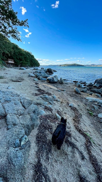 Piedras en la orilla del mar