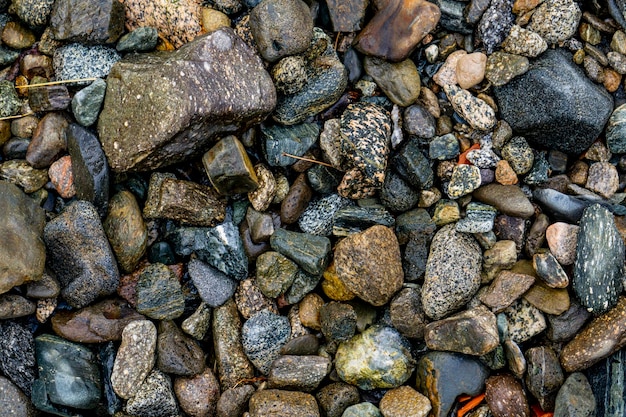 Piedras en la orilla