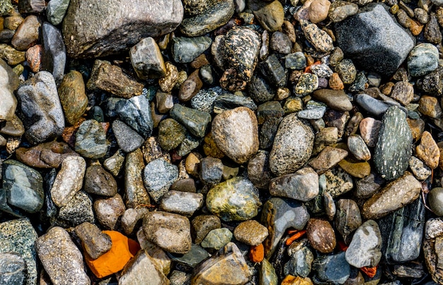 Piedras en la orilla