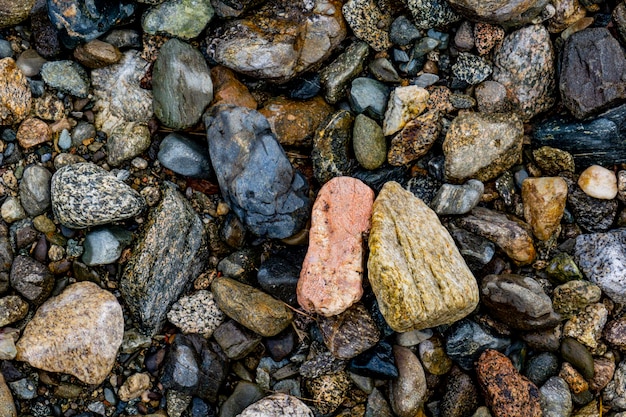 Piedras en la orilla