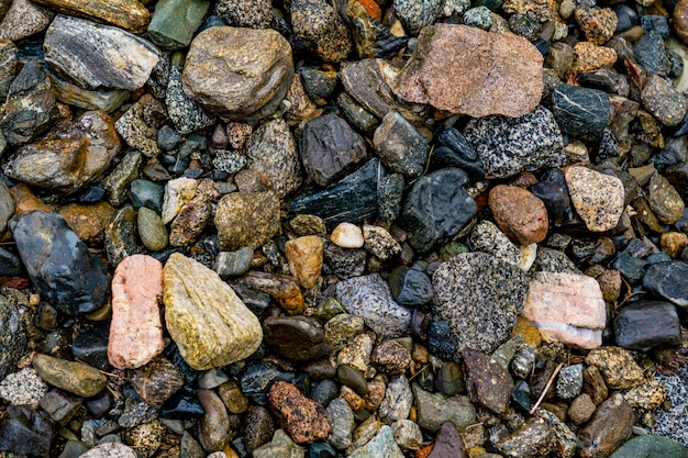 Piedras en la orilla