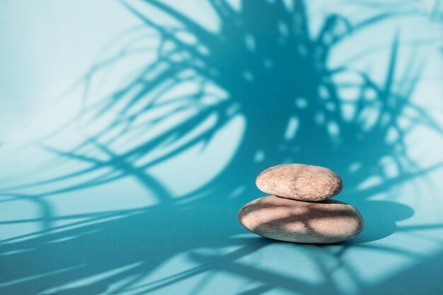 Foto las piedras ovaladas se encuentran sobre un fondo azul con la sombra de las hojas podio para la exhibición de productos