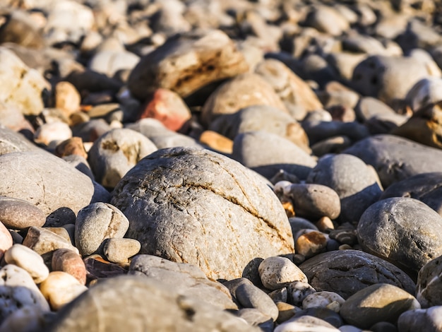 Piedras en la playa, fondo de guijarros, enfoque selectivo