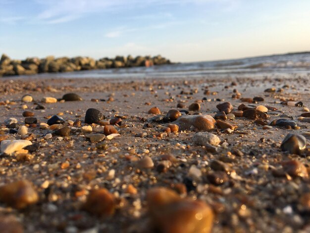 Foto las piedras en la playa