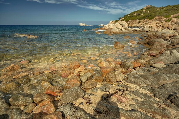 Piedras que se funden con el mar