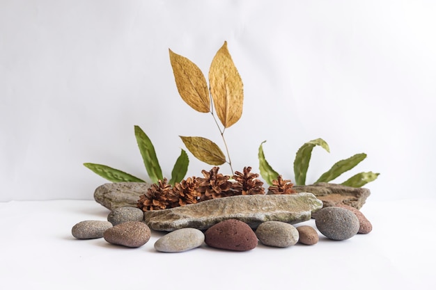 Piedras de río, hojas verdes con flores de pino sobre fondo blanco, perfectas para fondos de presentación de productos, pantallas y maquetas.