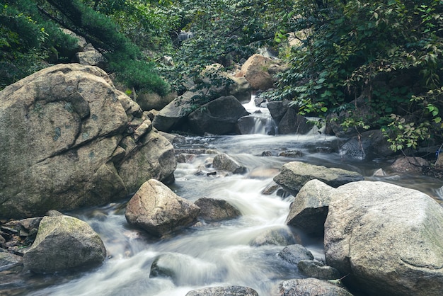 Piedras de la selva y agua corriente