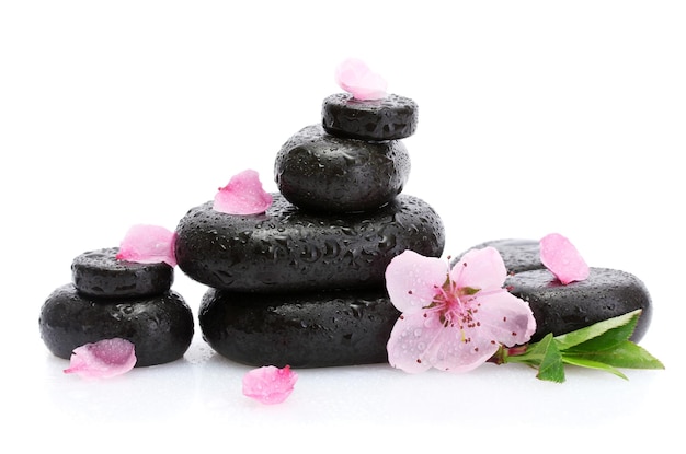 Piedras de spa con gotas y flores de sakura rosa aisladas en blanco