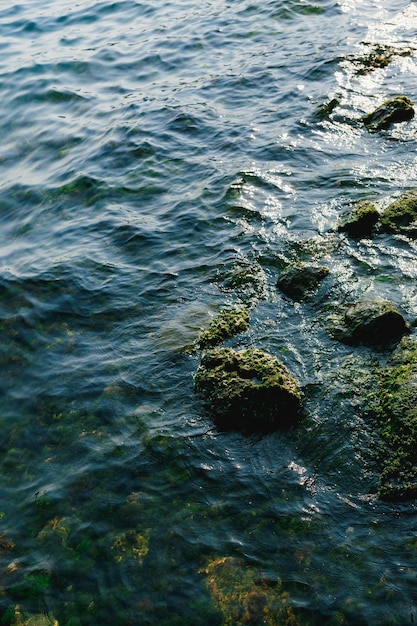 Piedras en la textura de la superficie del agua de musgo en agua de mar