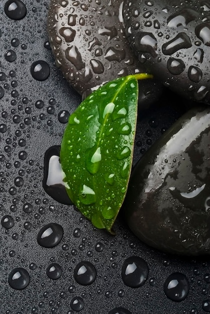 piedras zen y hojas con agua