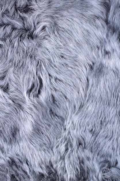 piel de oveja azul con fondo de piel de pelo largo