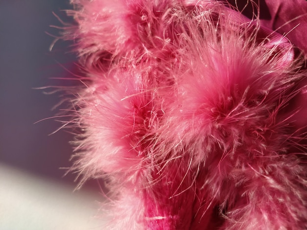 Piel sintética rosa o plumas de ave natural de color rosa primer plano Boa de plumas ligeras Textura delicada Tarjeta de felicitación Feliz día de San Valentín Collar de una chaqueta de mujer o niña Rosa brillante o color