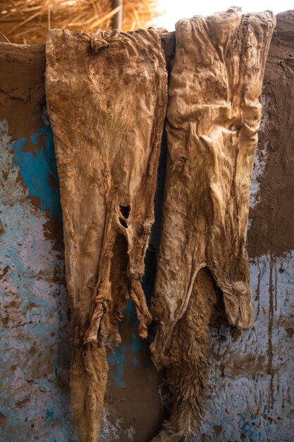 Foto pieles secándose en la pared de alguna casa