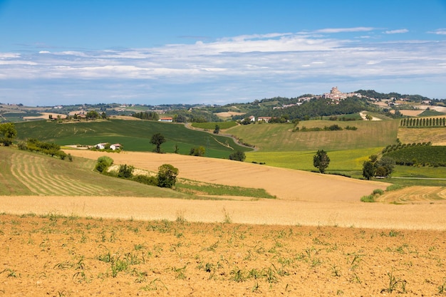 Piemont Region Piemont Italien Landschaft in Langhe