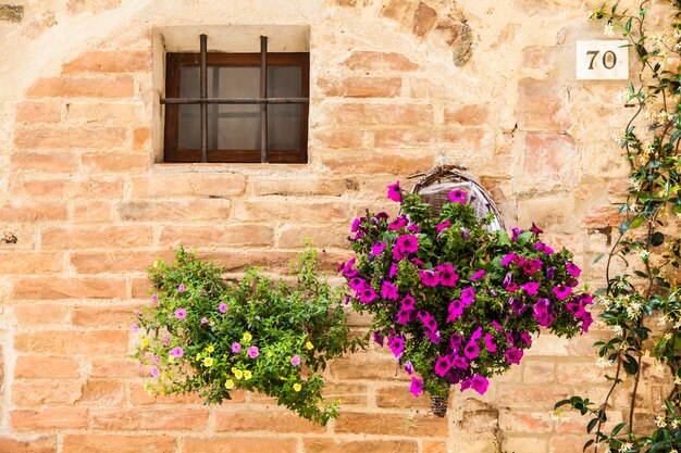 Pienza, región de Toscana, Italia. Viejo muro con flores