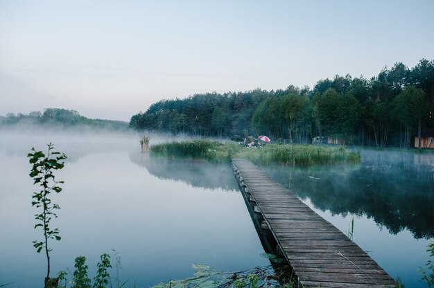 Pier am See in der Nähe des Waldes