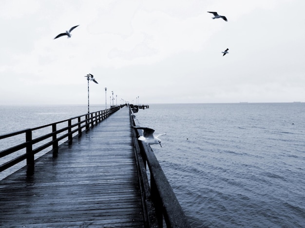 Foto pier auf dem meer gegen den himmel