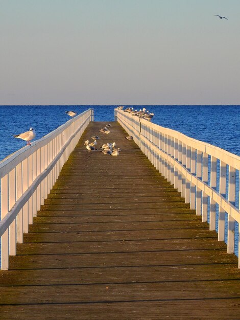 Pier über dem Meer gegen den klaren Himmel