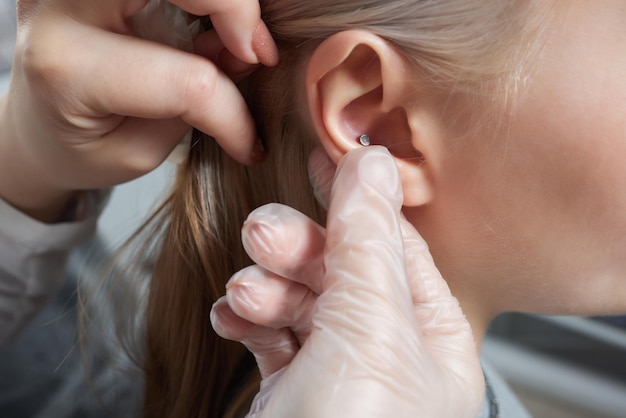 Piercings en una oreja Piercings de concha y hélice de cerca Profesional sosteniendo la joya