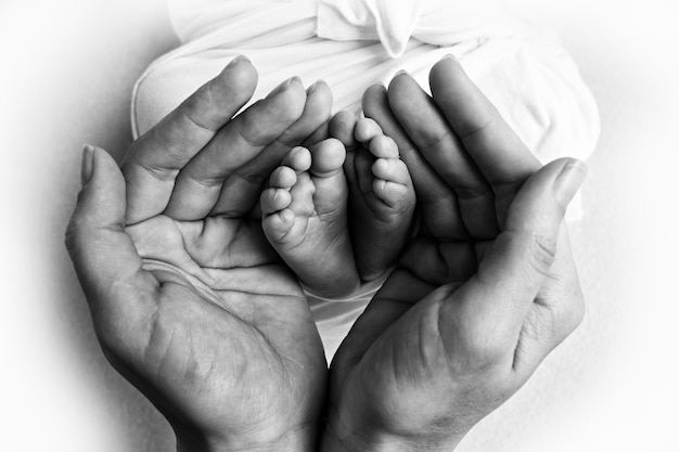 Piernas, dedos de los pies, pies y talones de un recién nacido. Con las manos de los padres, el padre, la madre y la hermana, el hermano sostiene suavemente las piernas del niño. Fotografía en blanco y negro. Foto de alta calidad