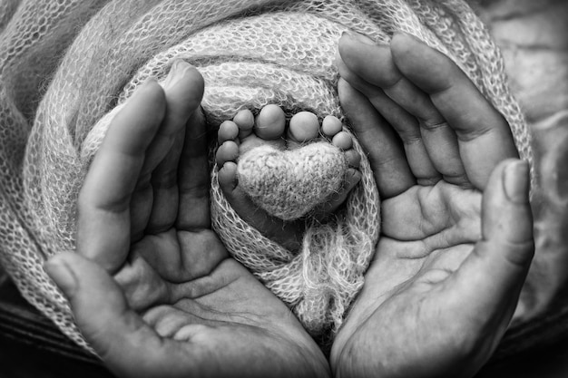 Piernas, dedos de los pies, pies y talones de un recién nacido. Con las manos de los padres, el padre, la madre y la hermana, el hermano sostiene suavemente las piernas del niño. Fotografía en blanco y negro. Foto de alta calidad