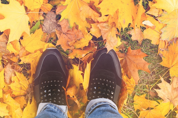 Piernas femeninas en botas sobre las hojas de otoño de arce amarillo. Zapatos de pies caminando en la naturaleza. Concepto de actividades de otoño y paseos. Vista superior.