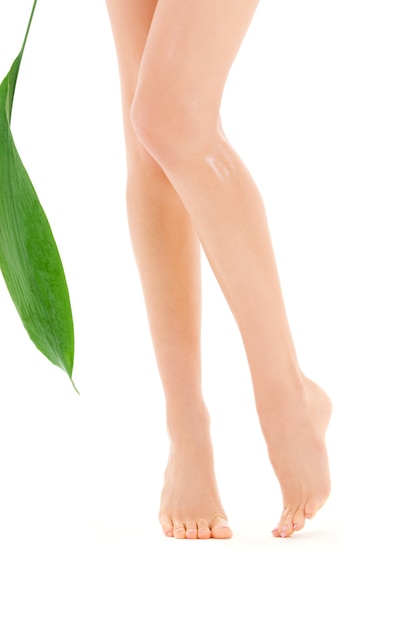 piernas femeninas con hoja verde sobre blanco