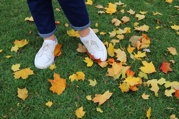 Foto piernas femeninas en zapatillas blancas en el fondo de hojas de otoño