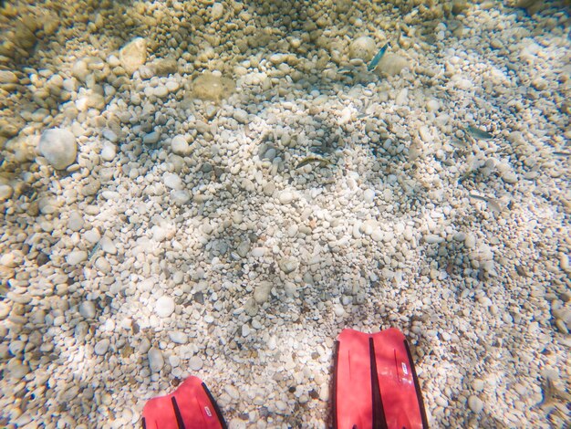 Piernas de hombre en aletas bajo el agua copia espacio vacaciones de verano
