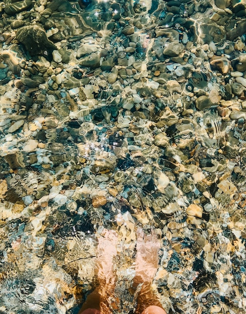 piernas de mujer descalzo en el mar olas piedras conchas playa día de verano. vista superior por encima de los pies de las mujeres