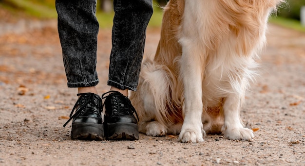 Piernas de una mujer y patas de un perro en el callejón en el parque de otoño