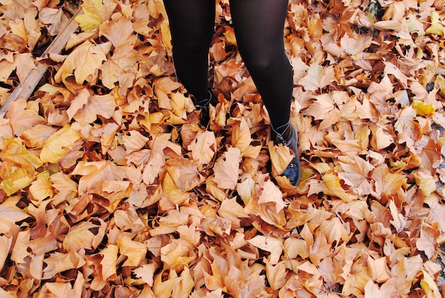 Piernas de una niña disfrutando de hojas de otoño