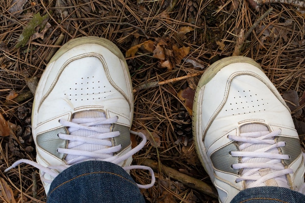 Piernas en una zapatilla sobre un fondo forestal