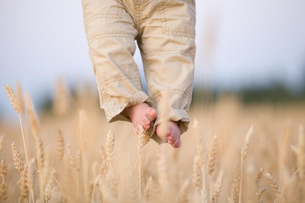 los pies descalzos del bebé con espigas de trigo como fondo en un día soleado de verano