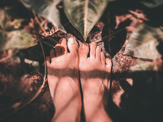 Foto pies descalzos descalzos en el suelo con hojas verdes puesta a tierra y técnica de puesta a tierra sensación natural