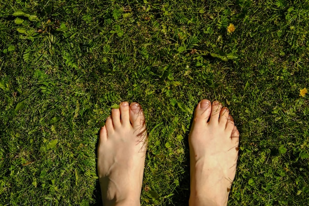 Foto pies descalzos sobre hierba verde con dientes de león una niña se encuentra en un césped verde y joven