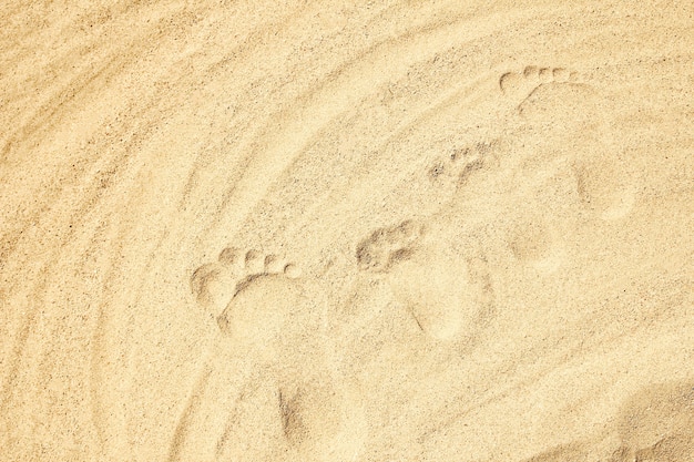 Pies dibujados en el fondo de arena de la playa.