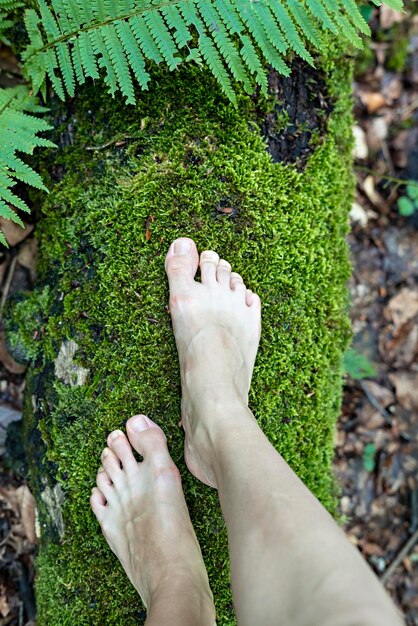 Foto pies femeninos descalzos de pie en un árbol de musgo en la relajación del bosque disfrutando en la naturaleza mujer caminando