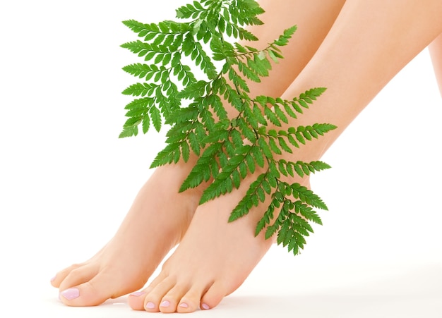 pies femeninos con hoja verde sobre blanco