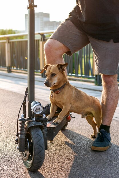 Foto los pies de un hombre se detuvieron de pie con una pierna con su pequeño perro lindo en un scooter eléctrico