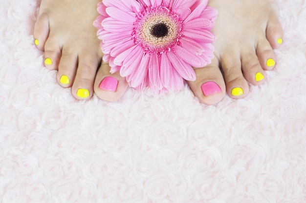 Foto pies de mujer con pedicura brillante sobre una alfombra de piel rosa y gerbera rosa brillante con gotas.