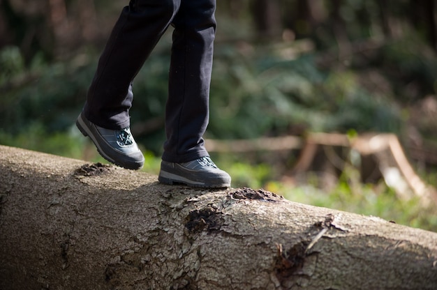 Pies de mujer en zapatillas caminando sobre tronco en el bosque